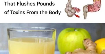 WhatsApp Image 2025 10 06 at 11.45.23 f7f46669